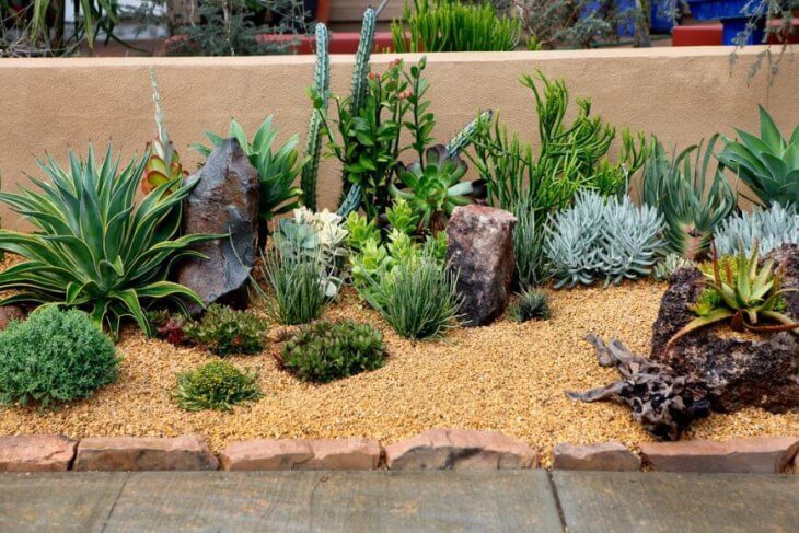 Small Plants like bonsai and succulents added to Zen garden