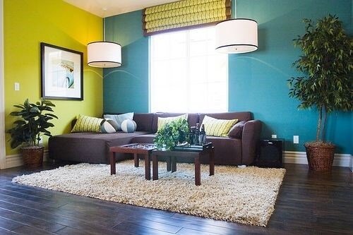 wall decoration of living room with contrasting colours