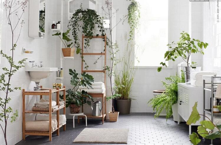 Decor with climbing plants with supportive decorative items